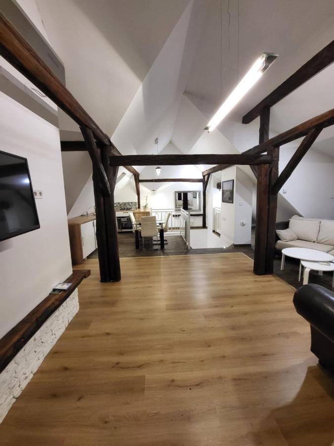 Appartamento Apartman Buzanova Zagabria Esterno foto